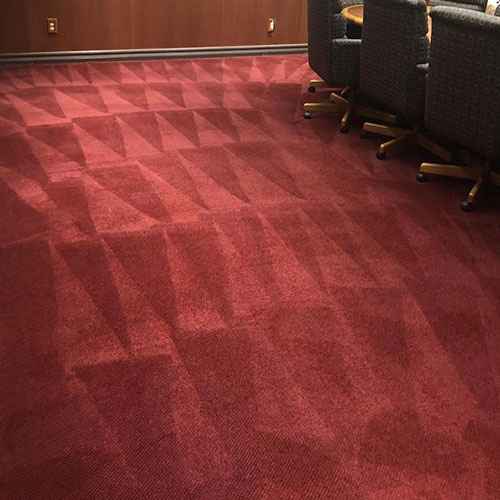 Shampoo and Carpet Cleaning